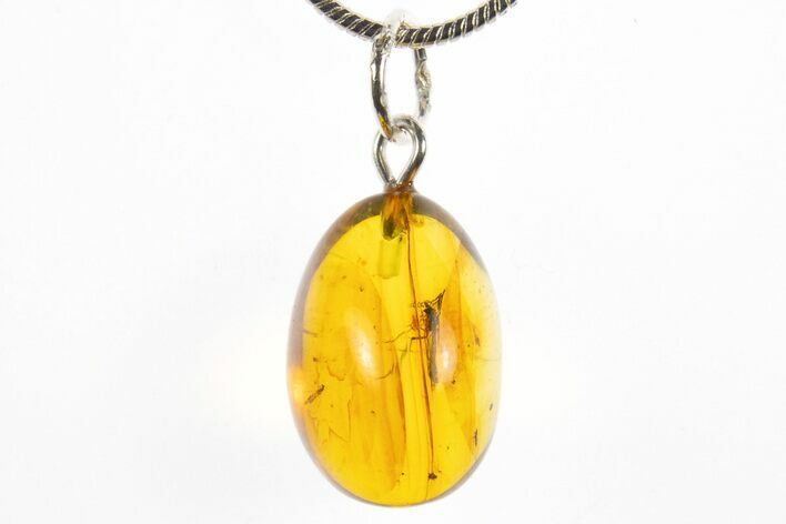 Polished Baltic Amber Pendant (Necklace) - Contains Fly! #311028